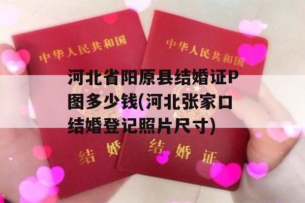 河北省阳原县结婚证P图多少钱(河北张家口结婚登记照片尺寸)