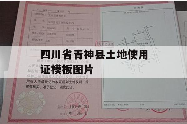 四川省青神县土地使用证模板图片